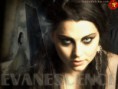 /album/fotos/evanescence-wallpaper-02-jpg1/